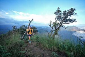 BIB: 
                            <button type="button" onclick="openModal(22458058)" class="btn btn-primary btn-sm float-right btn-popup" data-toggle="modal" data-target=".modal-high-quality">
                        <i class="fas fa-shopping-cart"></i> Add to Cart
                    </button>
                                            <button type="button" onclick="isThisMe(22458058, true)" class="btn btn-success btn-sm float-right btn-popup btn-isme hidden" data-toggle="tooltip" data-placement="bottom" title="นี่คือรูปของคุณใช่ไหม คลิกที่นี่เพื่อเอาเข้าอัลบั้ม">
                        <i class="fas fa-plus"></i> Add to album
                    </button>
                    <button type="button" onclick="isThisMe(22458058, false)" class="btn btn-warning btn-sm float-right btn-popup btn-isnotme hidden">
                        <i class="fas fa-ban"></i> Remove from album
                    </button>